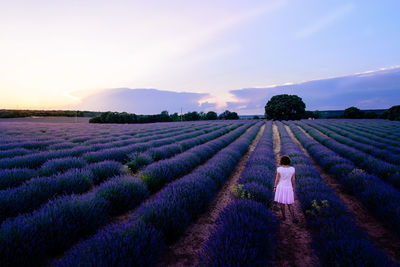 Woman walking on lavender fields in brihuega