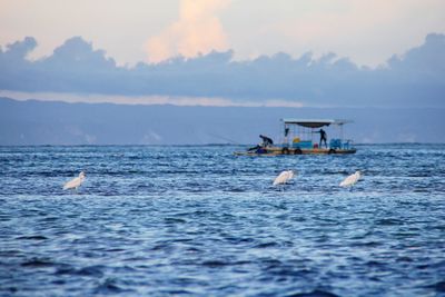 People swimming in sea