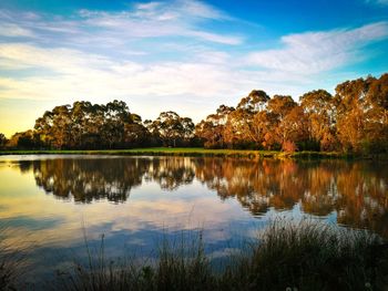 Scenic view of lake by trees against sky