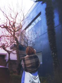 Bare trees against sky