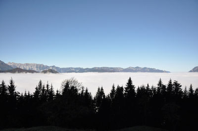 sky
