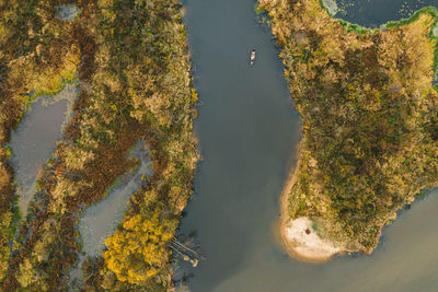 High angle view of autumn trees by lake