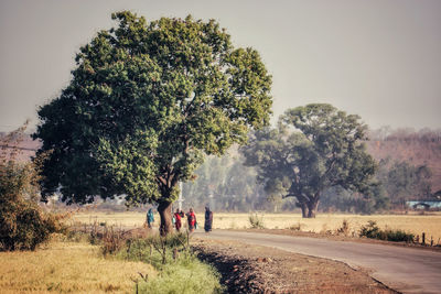 People walking on road amidst trees against sky
