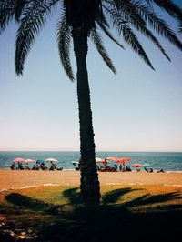 Tourists on beach