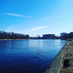 Swans swimming in lake against blue sky