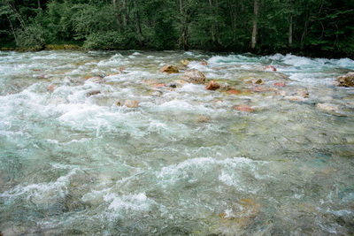 View of river flowing through forest