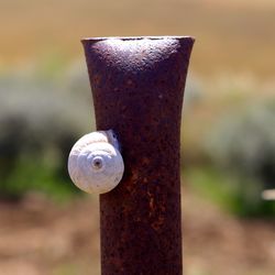 Close-up of rusty metal