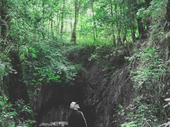 Low section of people in forest