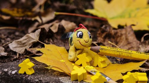 Close-up of yellow toy