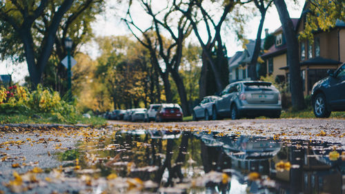 Surface level view of puddle against cars parked on street