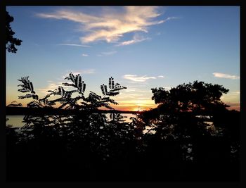 Silhouette trees against sky during sunset