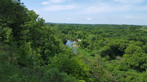 Scenic view of trees against sky