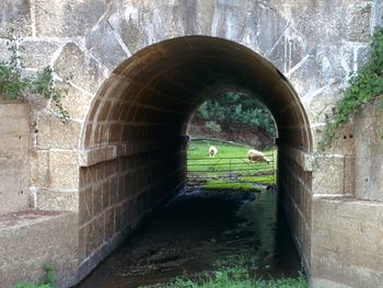 Archway of historic building on sunny day