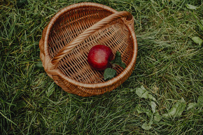 High angle view of apples in basket on field