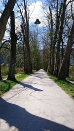 Footpath passing through trees
