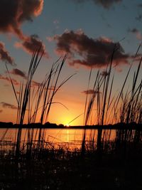 Scenic view of sunset