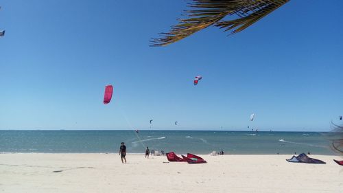 People on beach against clear blue sky