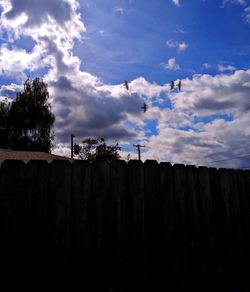 Low angle view of silhouette trees and building against sky