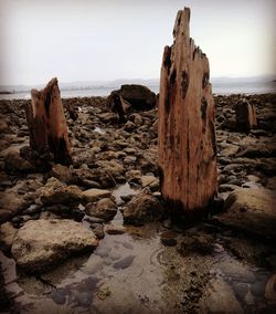 Rocks on beach against sky