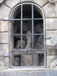 Close-up of cat in cage