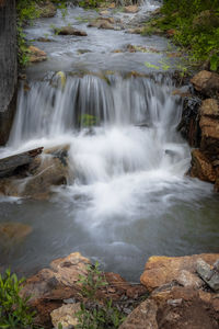 Scenic view of waterfall in forest