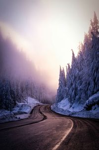 Snow covered landscape