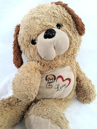 teddy bear