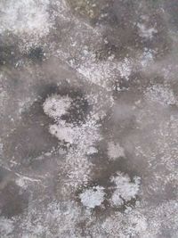 High angle view of snowflakes on snow