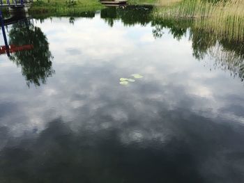 Reflection of trees in water