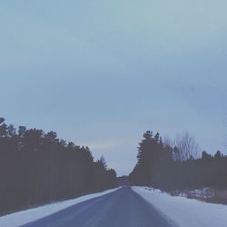 Empty road along trees