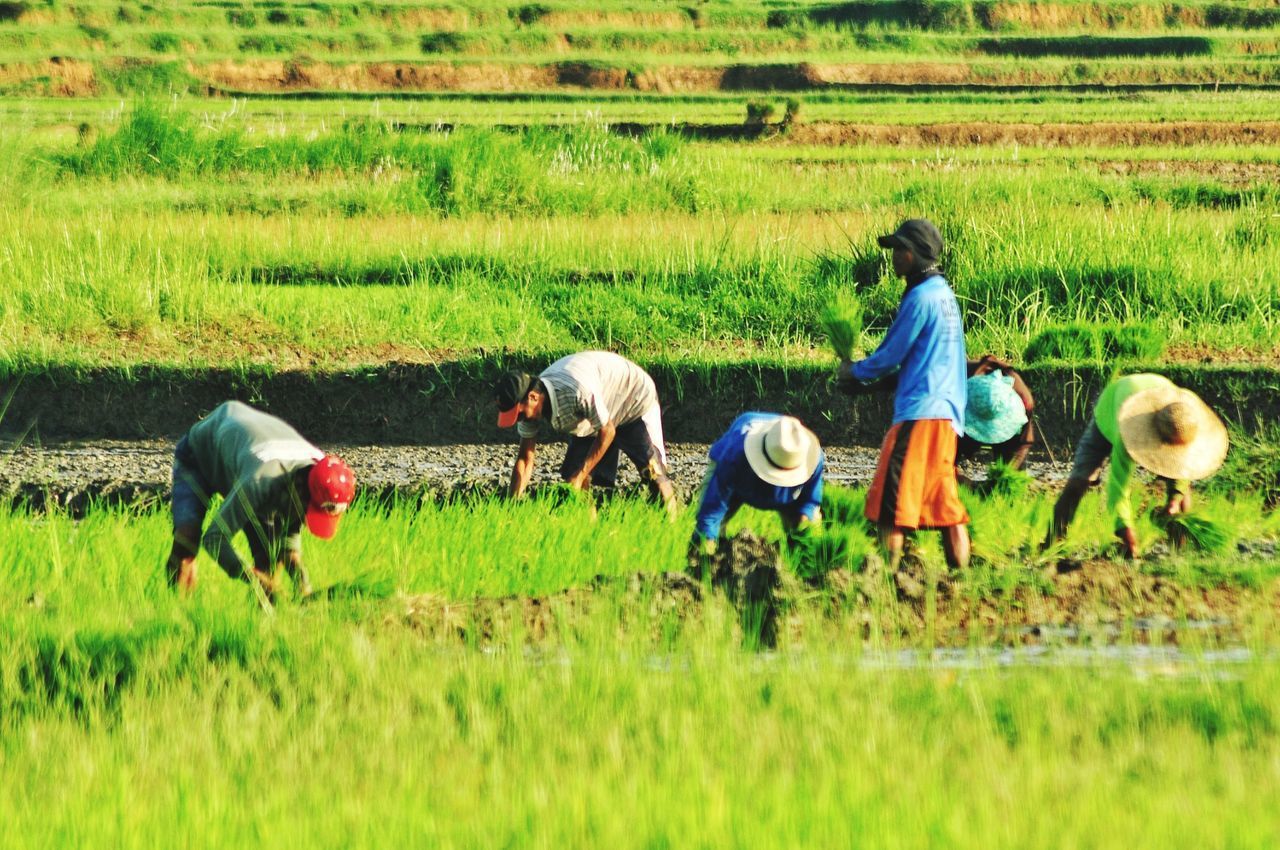 PEOPLE WORKING ON FARM