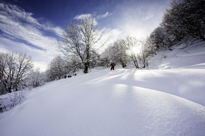 Virgin snow pillows