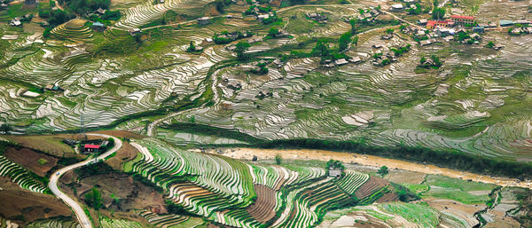 Panoramic shot of rice terrace