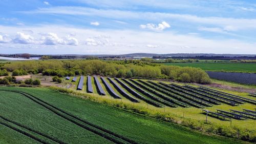 Scenic view of agricultural field against sky