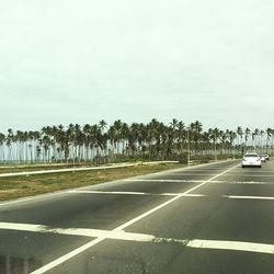 Empty road along trees