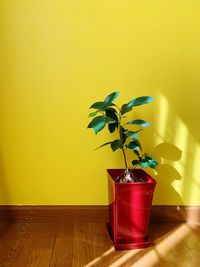 Potted plant on table against yellow wall