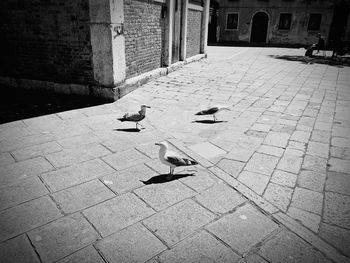 View of built structure