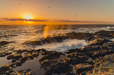 Scenic view of sea during sunset