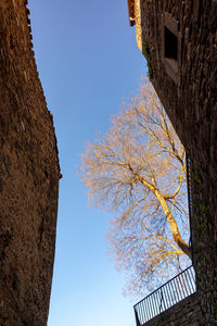 Low angle view of building against clear blue sky