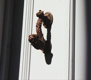 Full length of man hanging on window