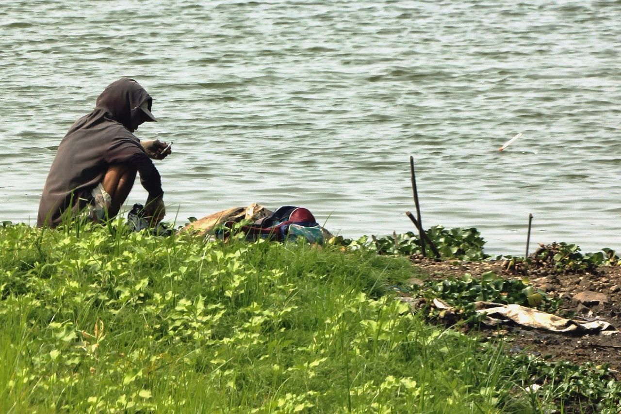 water, animal themes, grass, one animal, rear view, lake, nature, men, dog, domestic animals, plant, river, sitting, two animals, full length, mammal, animals in the wild, day