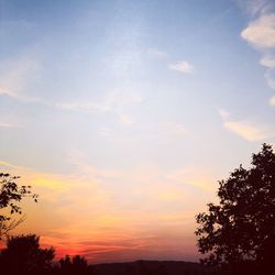 Low angle view of silhouette trees against sky at sunset