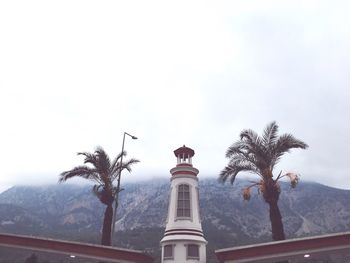 Low angle view of palm trees and building against sky