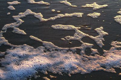 High angle view of footprints on sand at beach