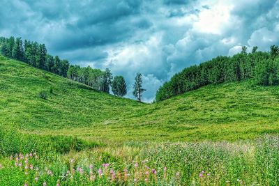 Panoramic view of green landscape against cloudy sky