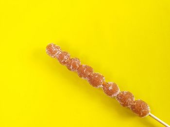 Close-up of dried over yellow background
