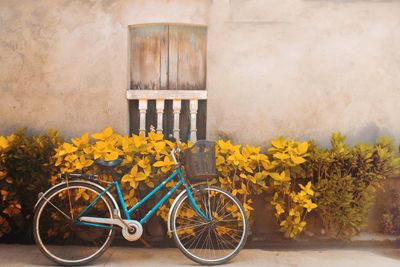 Bicycle in yellow flowers
