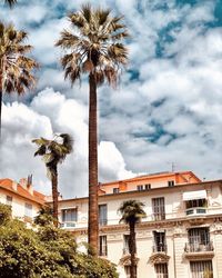 Low angle view of palm trees and buildings against sky