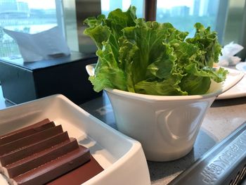 High angle view of potted plant on table