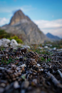 Close-up of rocks on field against sky